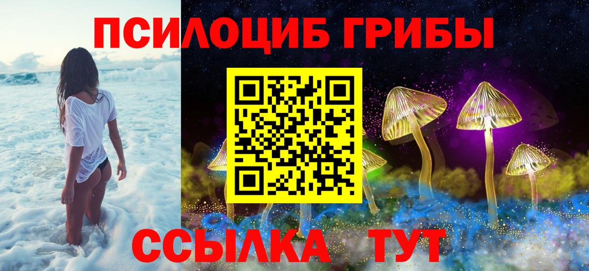 Галлюциногенные грибы мухоморы Астрахань