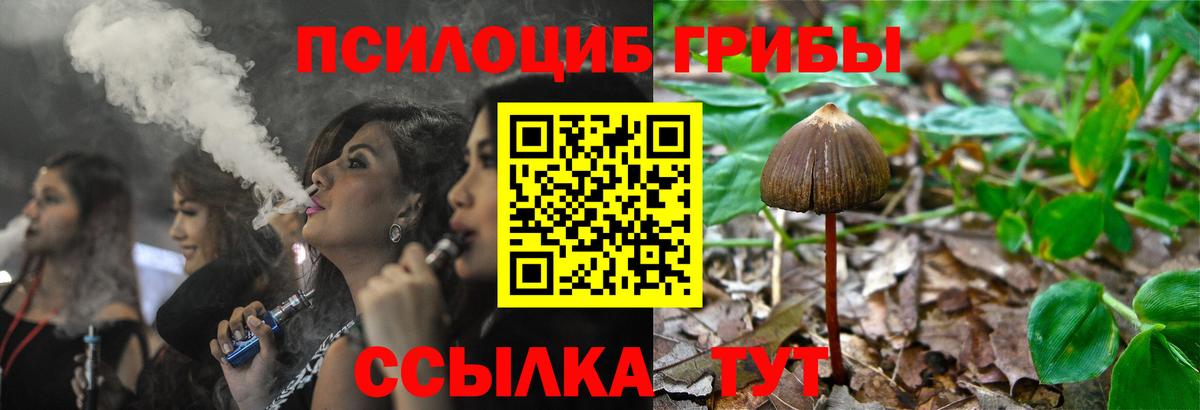 Астрахань  Галлюциногенные грибы Cubensis  Вход с VPN  Псилоцибиновые грибы GOLDEN TEACHER 